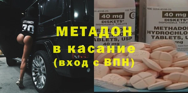 прущие грибы Новозыбков