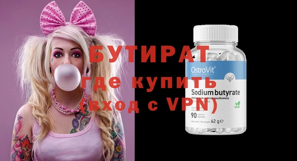 прущие грибы Новозыбков