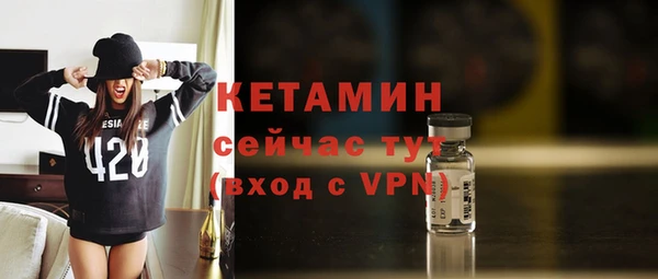 прущие грибы Новозыбков