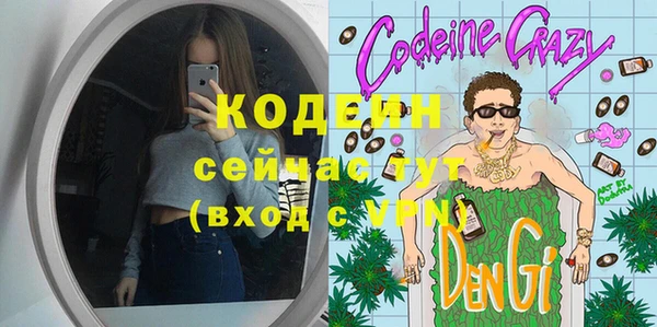 прущие грибы Новозыбков