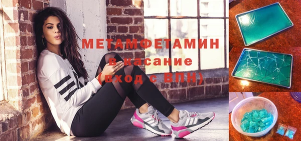 прущие грибы Новозыбков