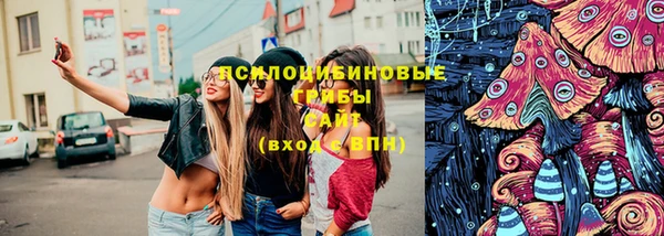 крисы Нефтекумск