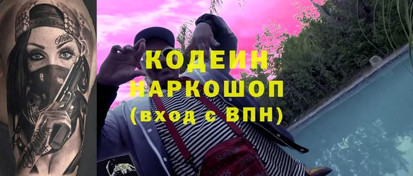 прущие грибы Новозыбков