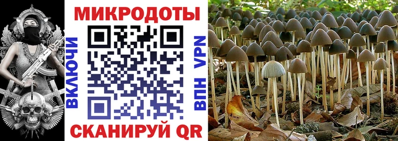 Галлюциногенные грибы мицелий ссылка на мегу ссылка Чехов